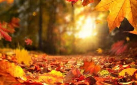 طقس غائم جزئيا.. وارتفاع بدرجات الحرارة