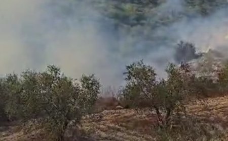 حريق كبير في احراش الزرارية