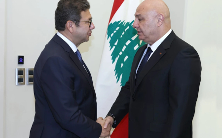 مسؤول مصري : مبادرتنا مستمرّة ونتفهّم موقف حزب الله