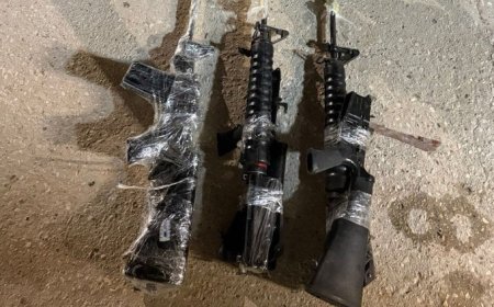 اسرائيل تعلن عن تفشيل عملية تهريب سلاح