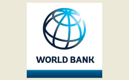 وفد من مجلس المديرين التنفيذيين لمجموعة البنك الدولي زار لبنان