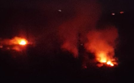 حريق المطلة والجليلية في الشوف يتواصل بفعل الرياح ومناشدات للمساعدة