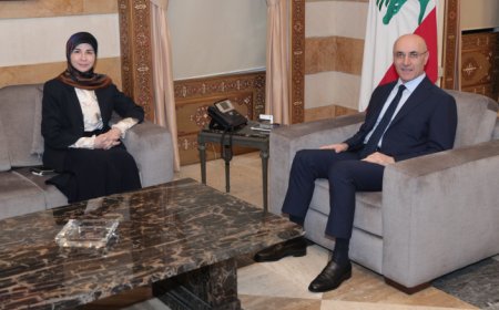 وزير الداخلية عرض مع بيلينغ ملف النازحين السوريين مع بيلينغ