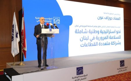 الحجار: وقف الإعتداءات الإسرائيليّة المتكرّرة أولويّة وطنيّة