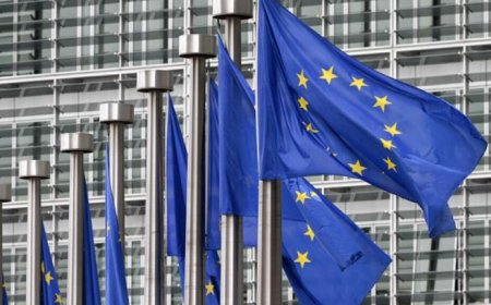 جنايات بروكسل دانت جهاديا بلجيكيا بارتكاب "جرم إبادة"