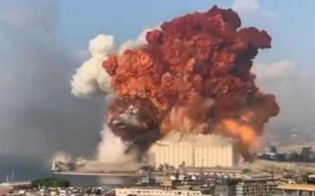 هل تسلم بلغاريا لبنان "الصندوق الأسود"؟