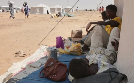 هل يتم فتح تحقيق بإنتهاكات الفاشر؟