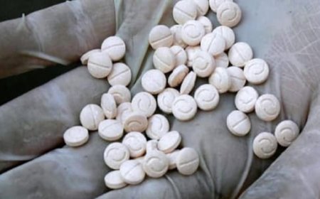 كادت تصل من طرابلس الى جدة.. قوى الامن تحبط محاولة تهريب 8 مليون حبة كبتاغون