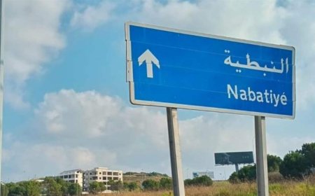 العاصفة تقطع الكهرباء عن 30 قرية في النبطية