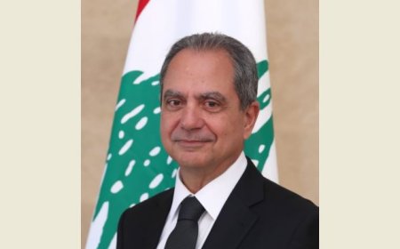 الصّدي: مصرّون على حق المغتربين بالاقتراع لـ128 نائباً