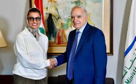 سلامة بحث مع وزيرة إماراتية في التعاون الثقافي