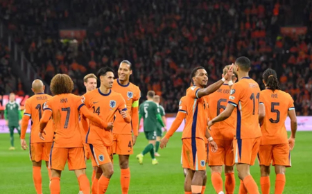هولندا الى نهائيات كأس العالم