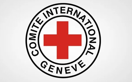 اللجنة الدولية للصليب الاحمر: عائلات نازحة من الفاشر تروي تجارب عنف مروّعة