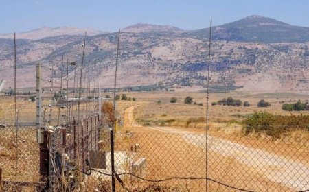 ترسيم ثلاثي للحدود... وسحب حجة مزارع شبعا من "الحزب"