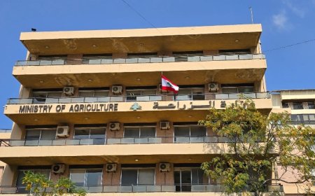 وزارة الزراعة تحتفل بالاستقلال وترفع علما جديدا فوق مبناها