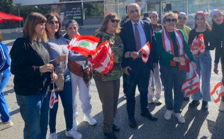 هاشم: الاستقلال الحقيقي يوم تحرير الجنوب