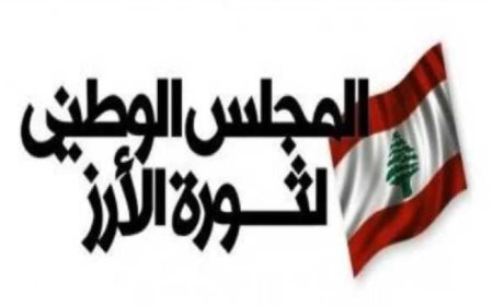 المجلس الوطني لثورة الأرز: توريط القوى العسكرية بملفات سياسية يضعف دروها الأساسي بعملية حفظ الأمن