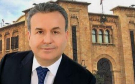 درغام: لتسليم السلاح بشروط تحمي لبنان