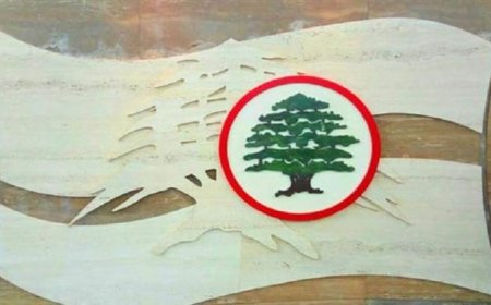 نائب قواتي يسأل عن دور وزير في ترسيم الحدود مع قبرص