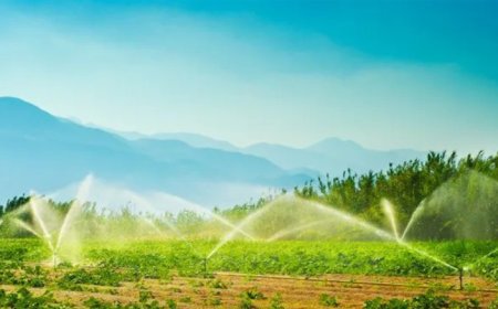 اللجنة الوطنية للري ناقشت في وزارة الزراعة إدارة الموارد المائية وتوصيات لمكافحة آثار الجفاف