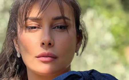 حريق “النويلاتي” يشعل خلافًا ناريًا بين كندا حنا وأنس مناوي… والاتهامات تتصاعد!