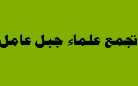 "علماء جبل عامل" للبابا: كلمتكم قادرة على تحريك الضمائر الدولية وتعجيل إجراءات لبنان لمواجهة العدوان