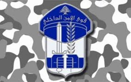 قوى الأمن: توقيف اثنين من عصابات سرقة الكابلات الكهربائية بالجرم المشهود