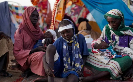 في السودان.. جوع وصدمات يعيشها أطفال الفاشر