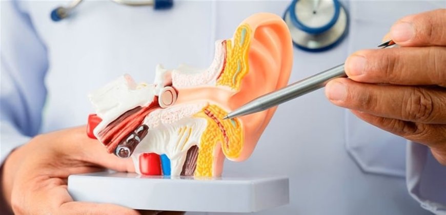 هل من علاقة بين السمنة وطنين الأذن؟.. اليكم ما كشفته دراسة