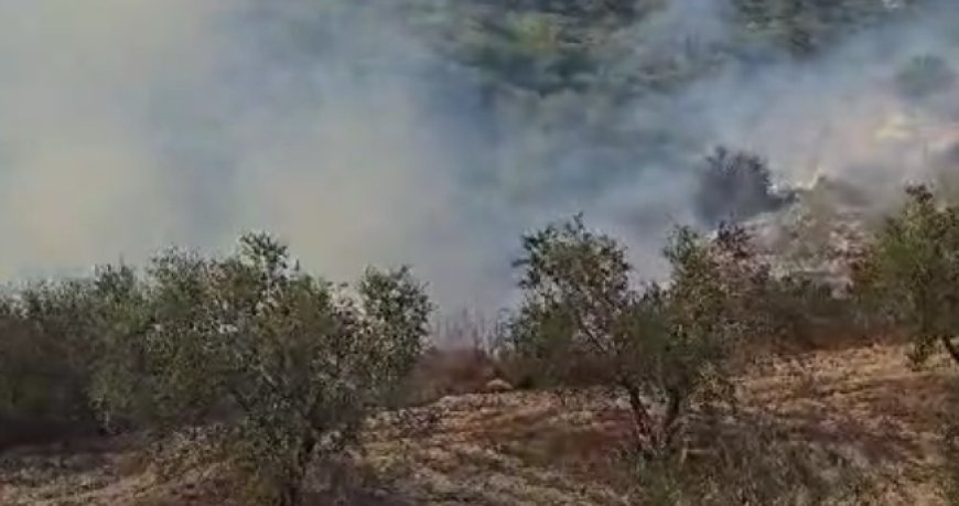 حريق كبير في احراش الزرارية