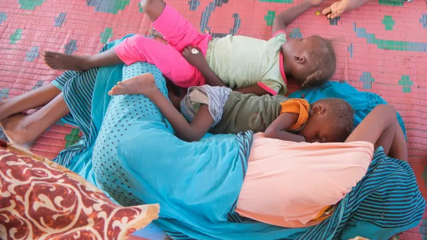 الوضع يزداد تعقيدا في الفاشر.. مسيرات تحلق وهلع ونزوح