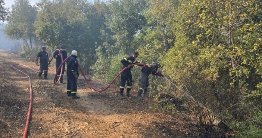 النيران ما زالت مشتعلة في العيشية والجرمق جراء الغارات المعادية والاهالي يناشدون الجيش التدخل