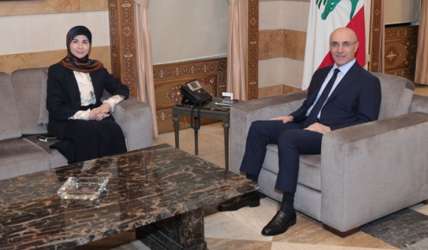 وزير الداخلية عرض مع بيلينغ ملف النازحين السوريين مع بيلينغ