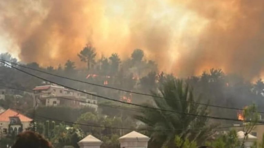 الجيش يشارك بإطفاء الحرائق