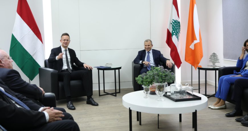 باسيل يلتقي وزير خارجية هنغاريا