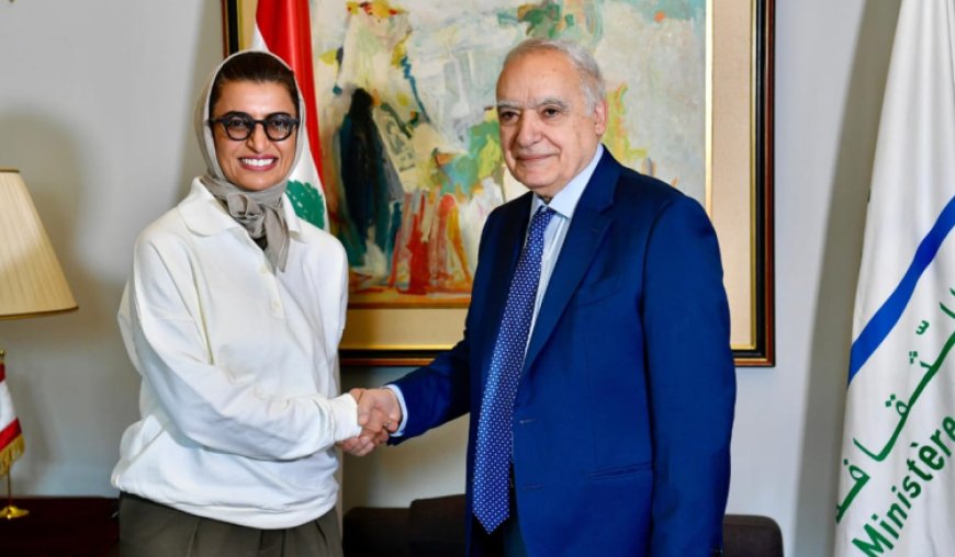 سلامة بحث مع وزيرة إماراتية في التعاون الثقافي