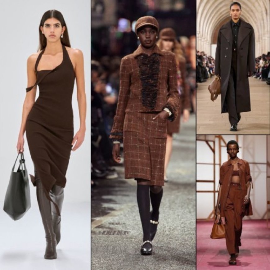 من التراب إلى القمر… ألوانٌ ترسم شتاء 2026