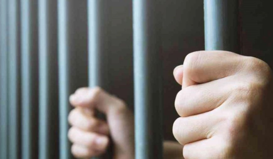 قوى الأمن: توقيف مطلوب في تمنين التحتا بـ 4 مذكرات عدلية