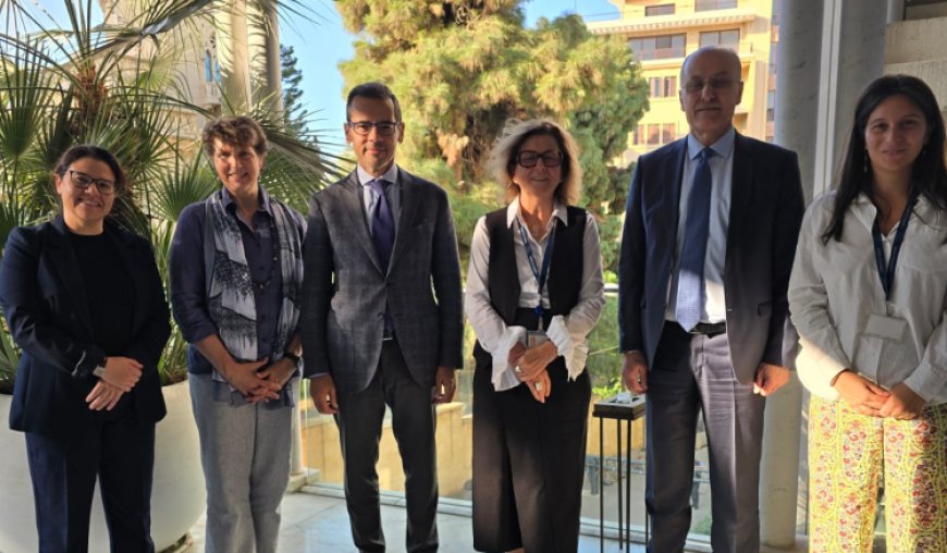 عبد الله وعلامة ناقشا مع بعثة الاتحاد الأوروبي للصحة مشاريع القوانين والسياسات ذات الصلة