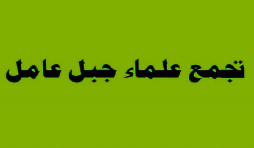 "علماء جبل عامل" للبابا: كلمتكم قادرة على تحريك الضمائر الدولية وتعجيل إجراءات لبنان لمواجهة العدوان