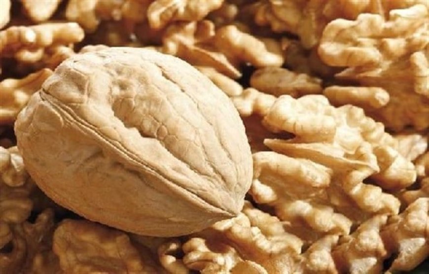 للجوز فوائد كثيرة.. اليكم ما يفعله للقلب والدماغ