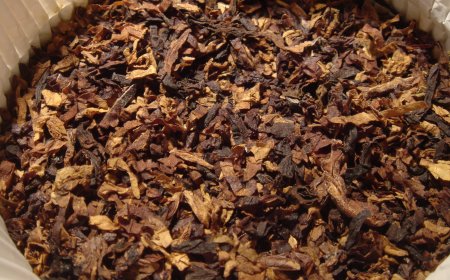 للنكوتين أضرار كبيرة.. إلى متى يستمر في الجسم؟