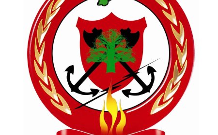 الدفاع المدني يشكر عناصره: ساهمتم بإنجاح زيارة البابا