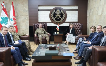 هيكل عرض مع رئيسة مرفق السلام الأوروبي الأوضاع في لبنان والمنطقة والتقى سليمان والمر