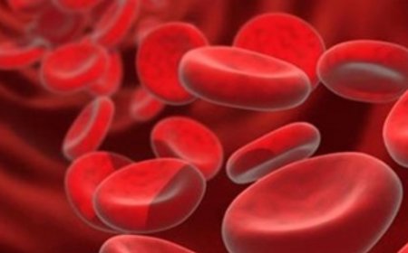 نقص الحديد في الجسم.. انه خطر كبير احذروه