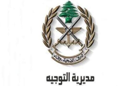 الجيش: تمارين تدريبية في حقل تدريب مزرعة حنوش - حامات