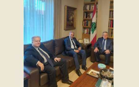 السنيورة عرض وسفير جنوب افريقيا بسوريا الاوضاع