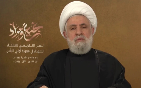 كيف علق نعيم قاسم على تعيين مدني في الميكانيزم