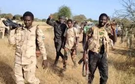 حقل نفطي حيوي تحت سيطرة "الدعم السريع"