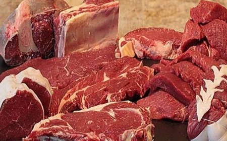 صرخة من نقابة القصابين وتجار المواشي.. تراجع كبير بالإستيراد